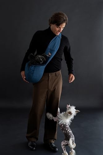 Noah paw dog - &, sling